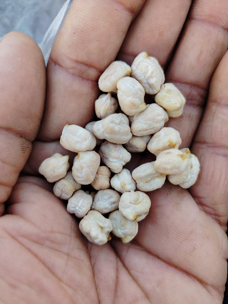 થંબનેલ 3