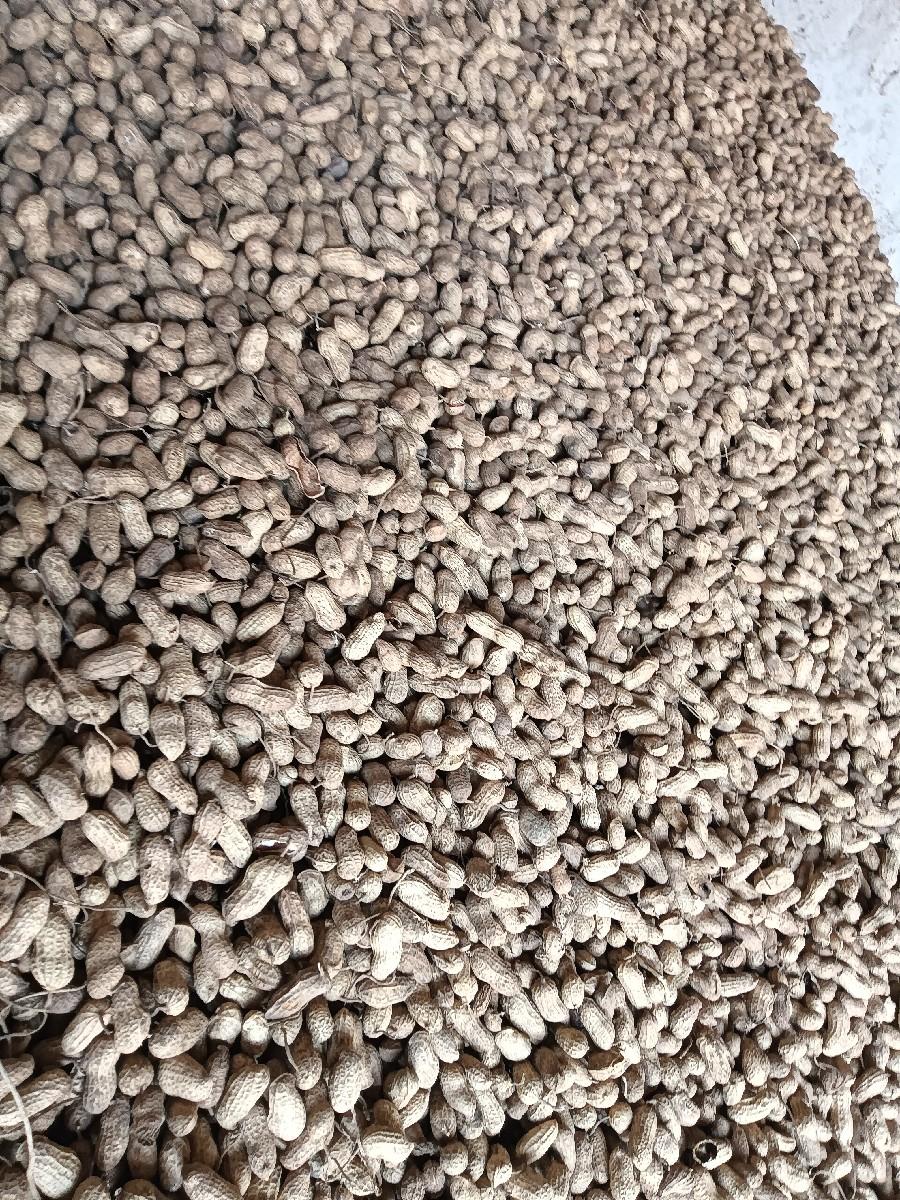 જેવી  વેચવાની છે