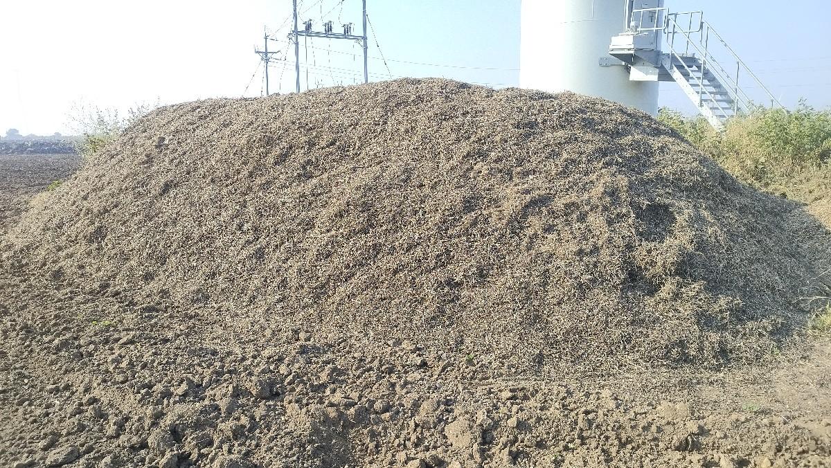 માંડવી નો ભુકો વેચવાનો છે