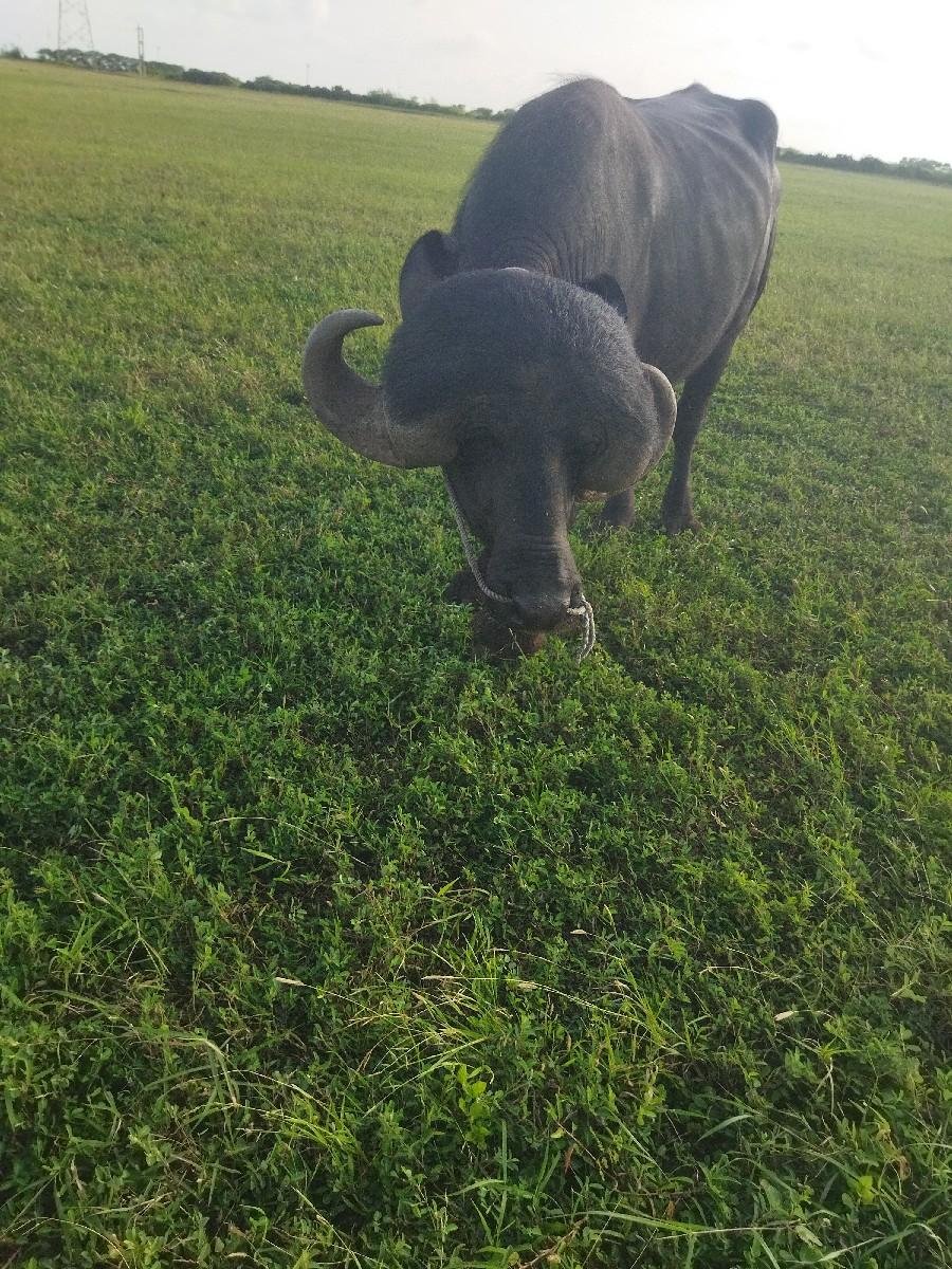 થંબનેલ 3