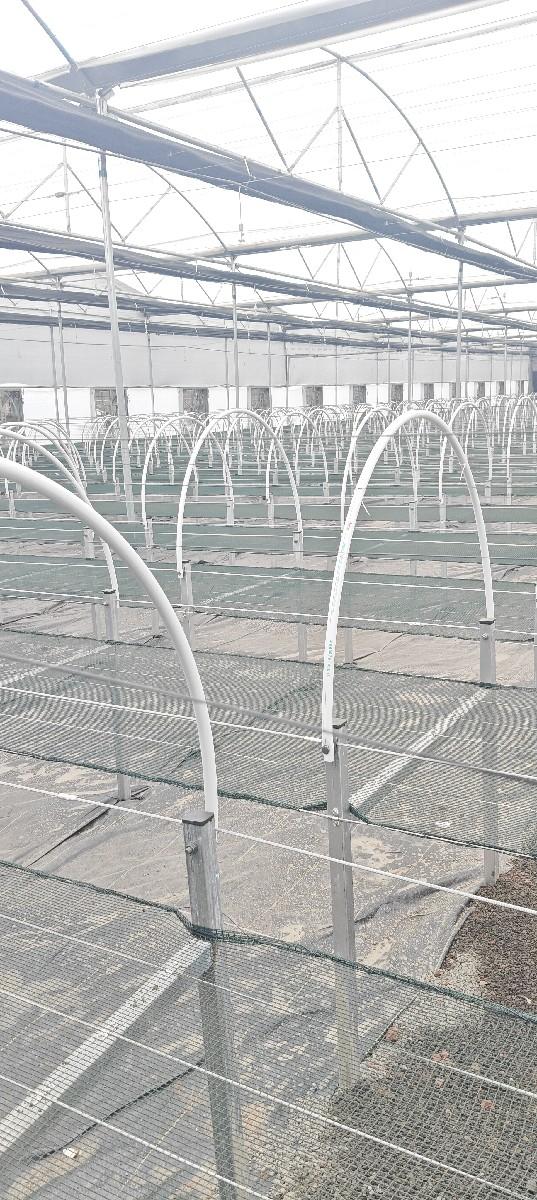 थंबनेल 4