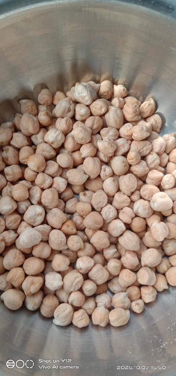 બિયારણ વેચવા નું છે