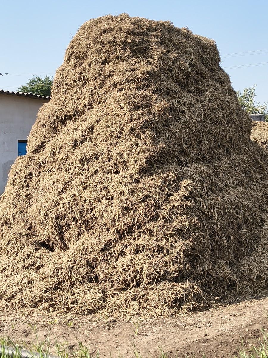 માંડવીયુ વેચવાનું છે