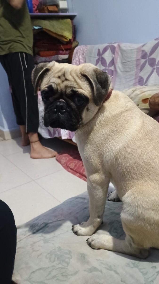 થંબનેલ 2