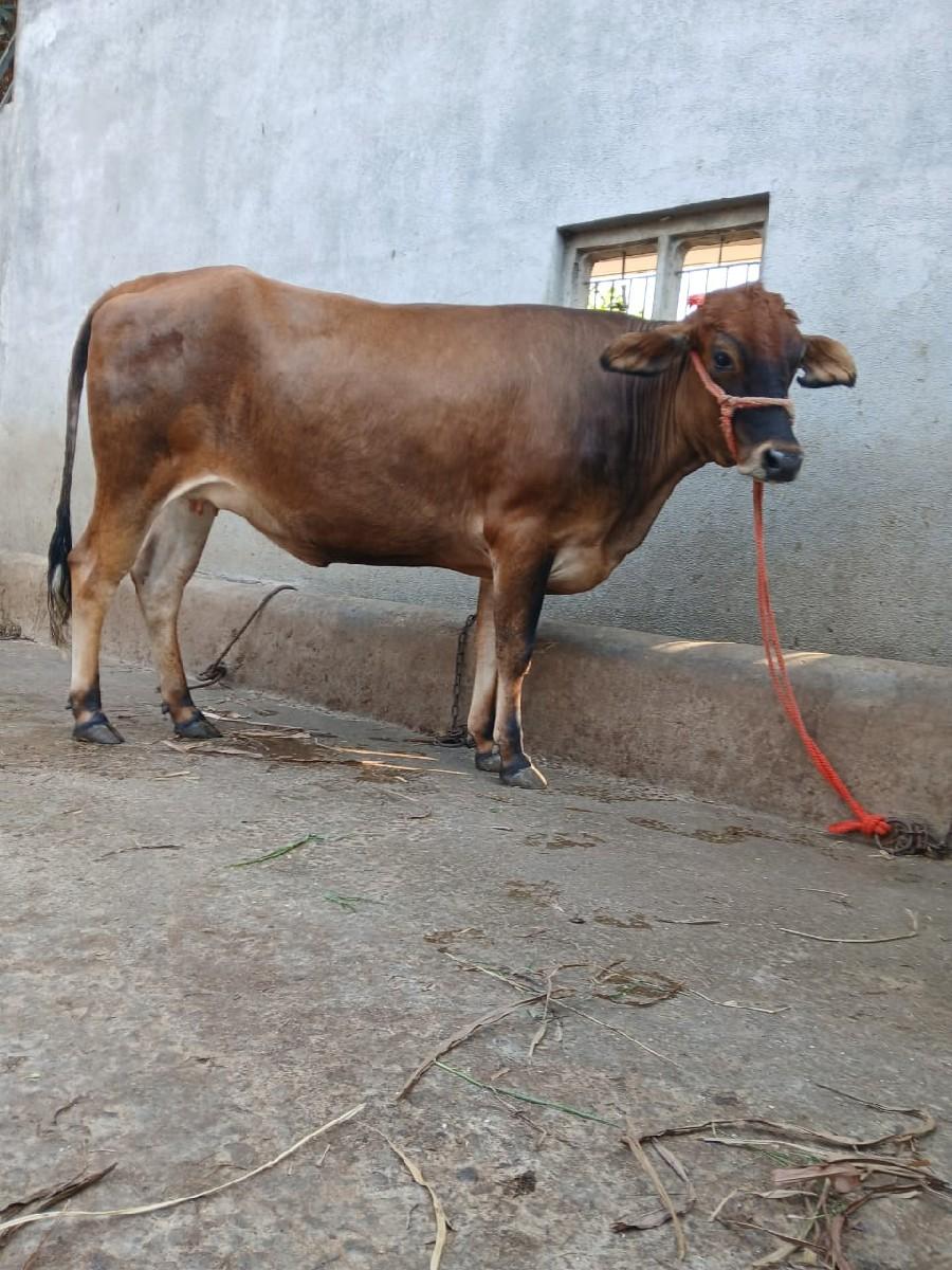 થંબનેલ 2