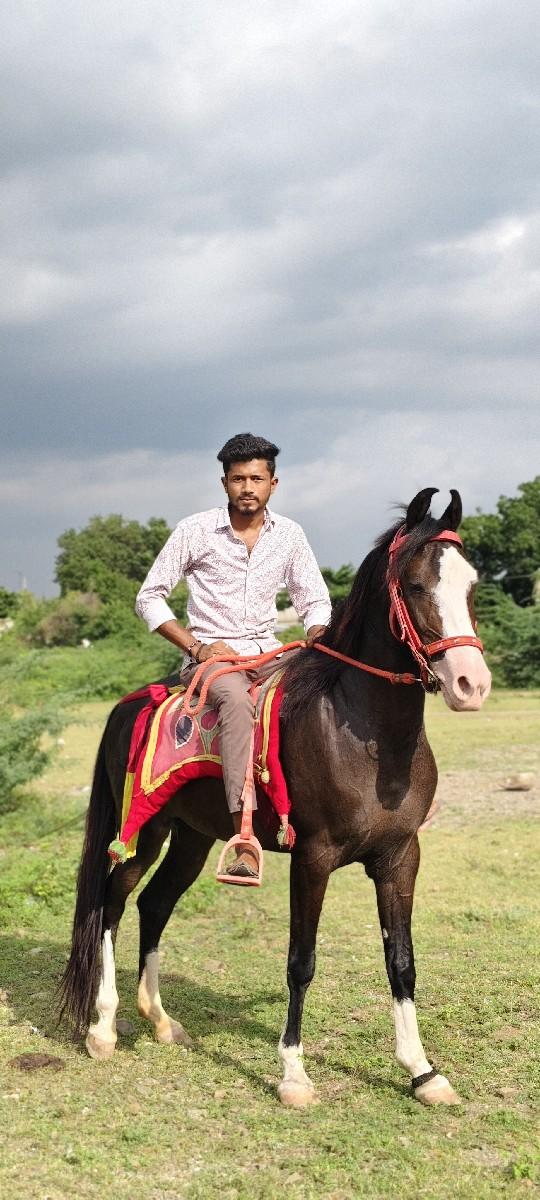 થંબનેલ 2