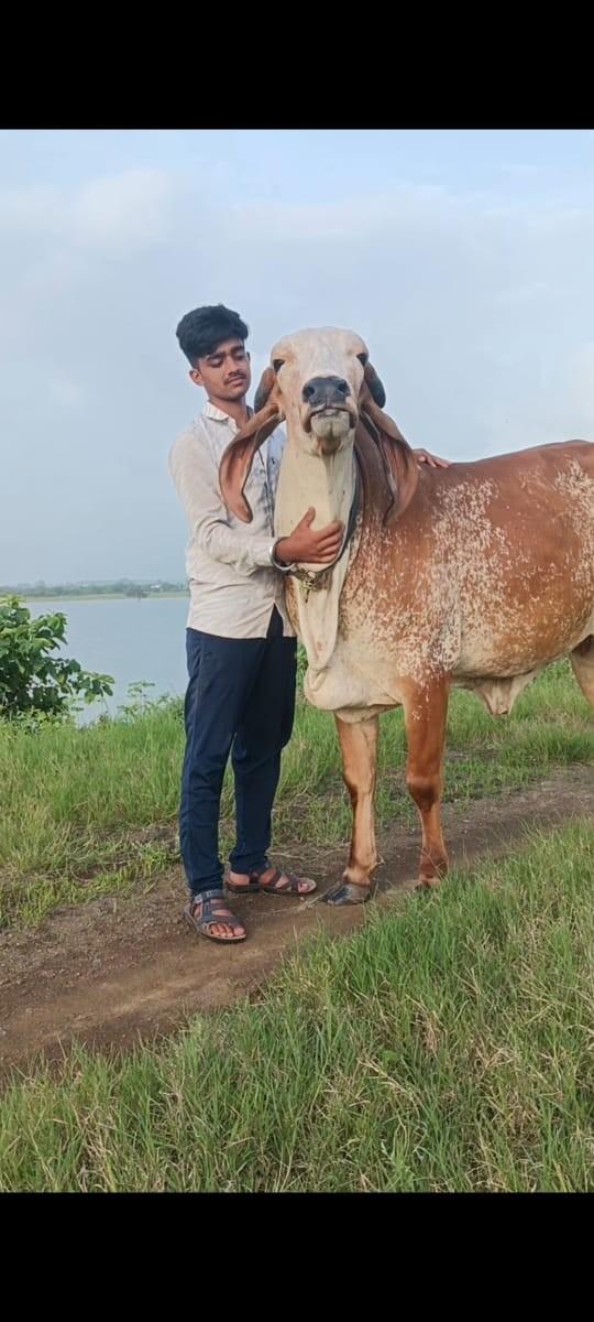 થંબનેલ 3