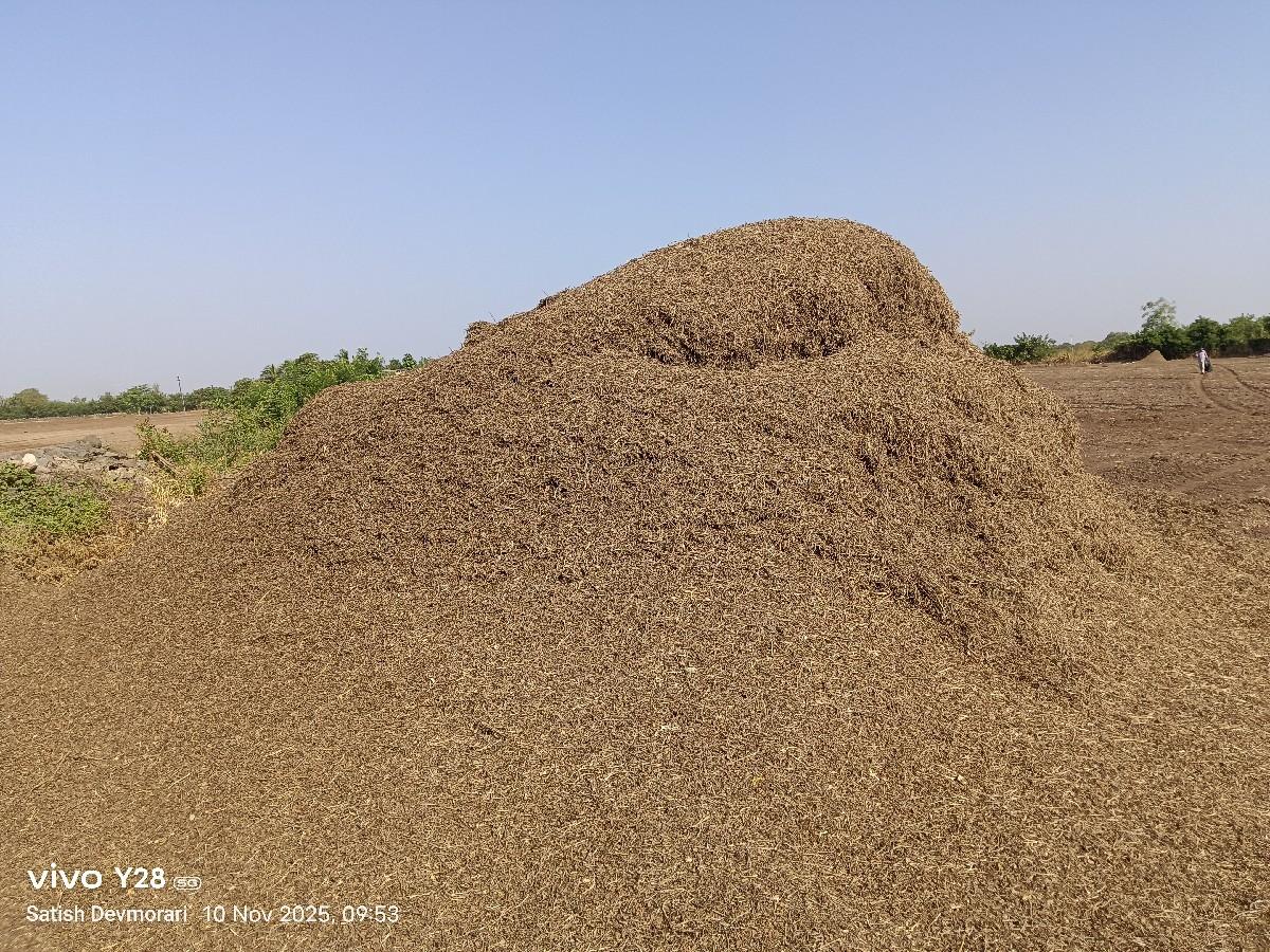 મગફળી નુ માંડવિયું વેશવાનુ છે