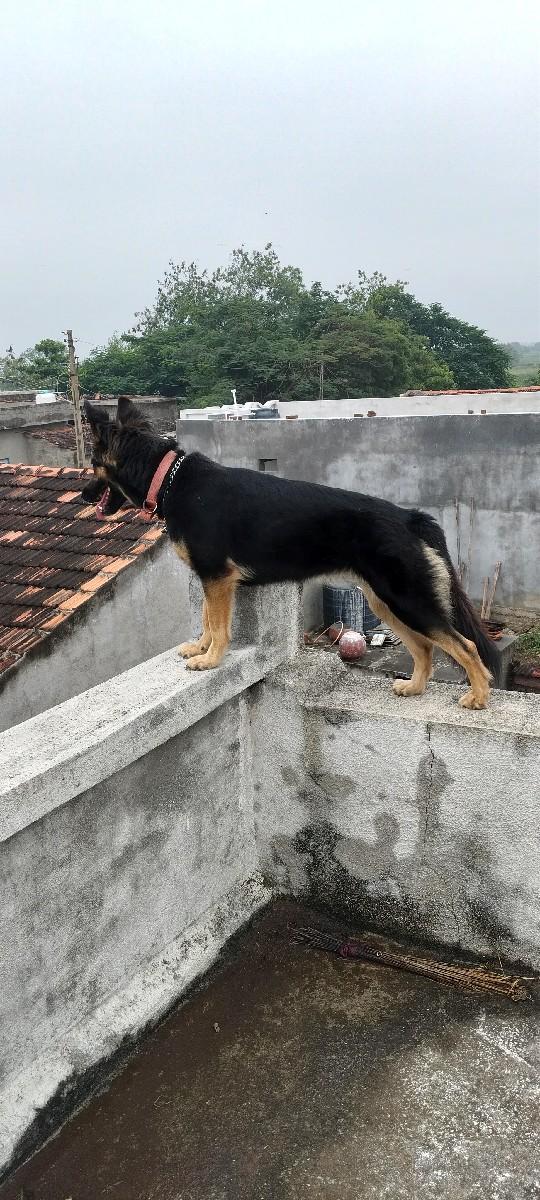 થંબનેલ 3