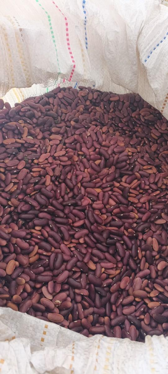 બિયારણ વેચવાનું છે