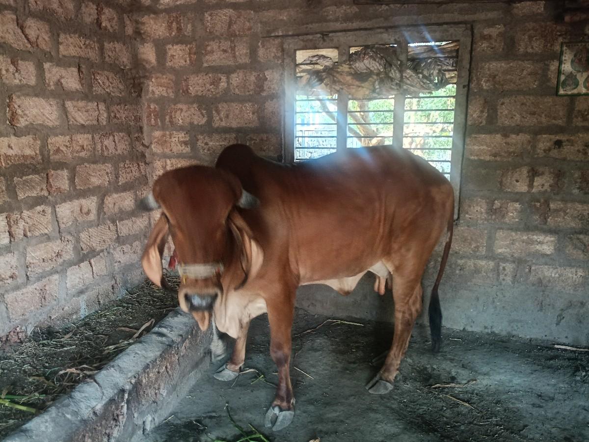 વેચવાની છે