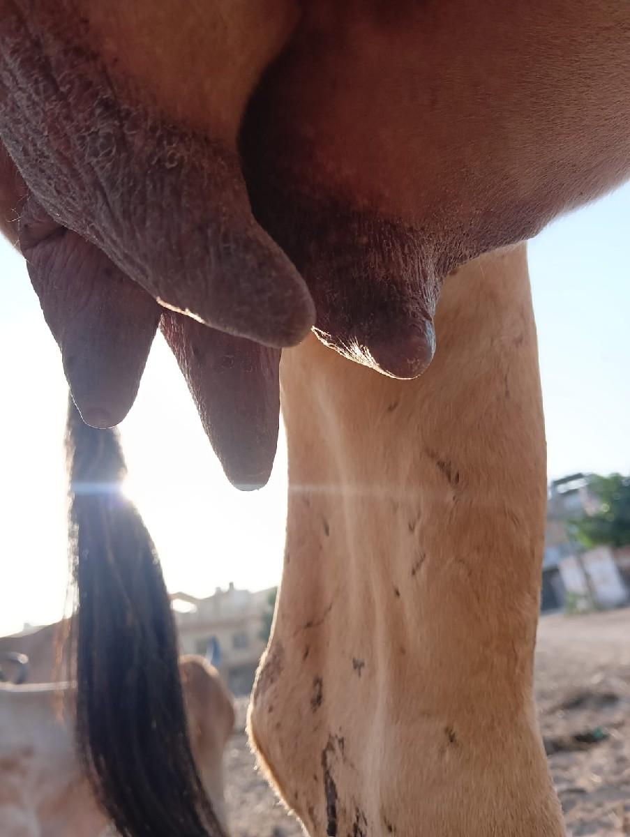 થંબનેલ 3