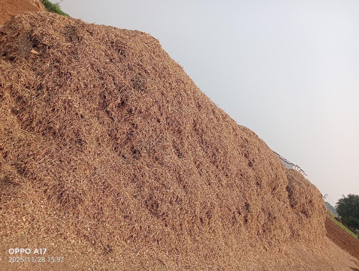 ભૂકો વેચવાનો છે.