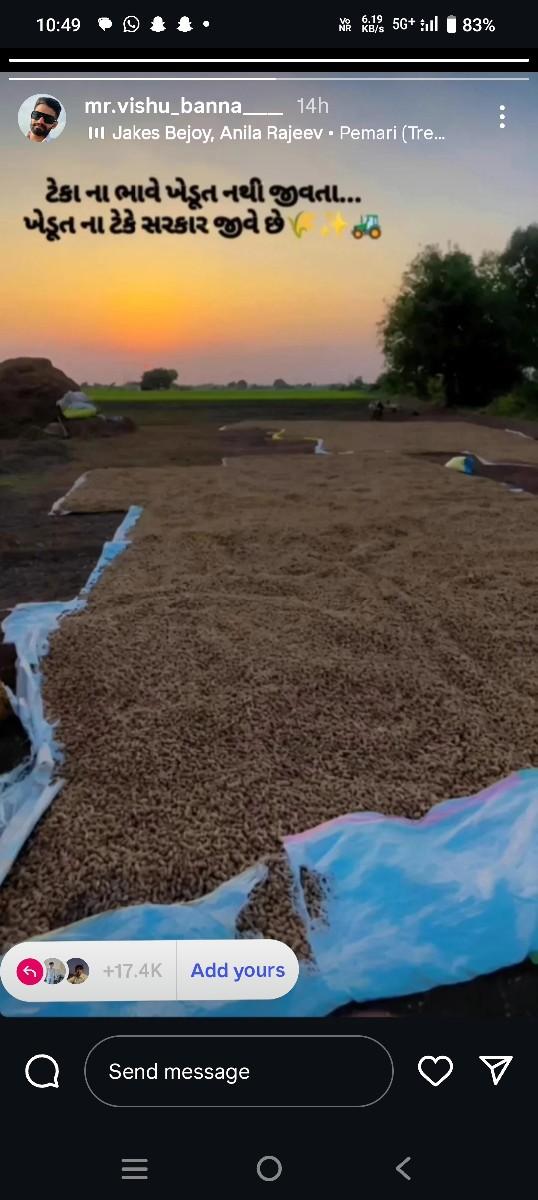 માંડવીનો પાલો વેચવાનો સે