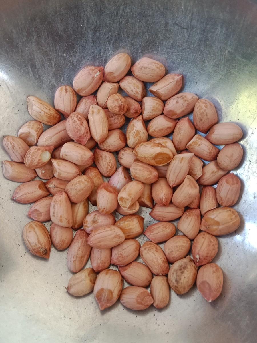 જી ૨૦ મગફળી બિયારણ