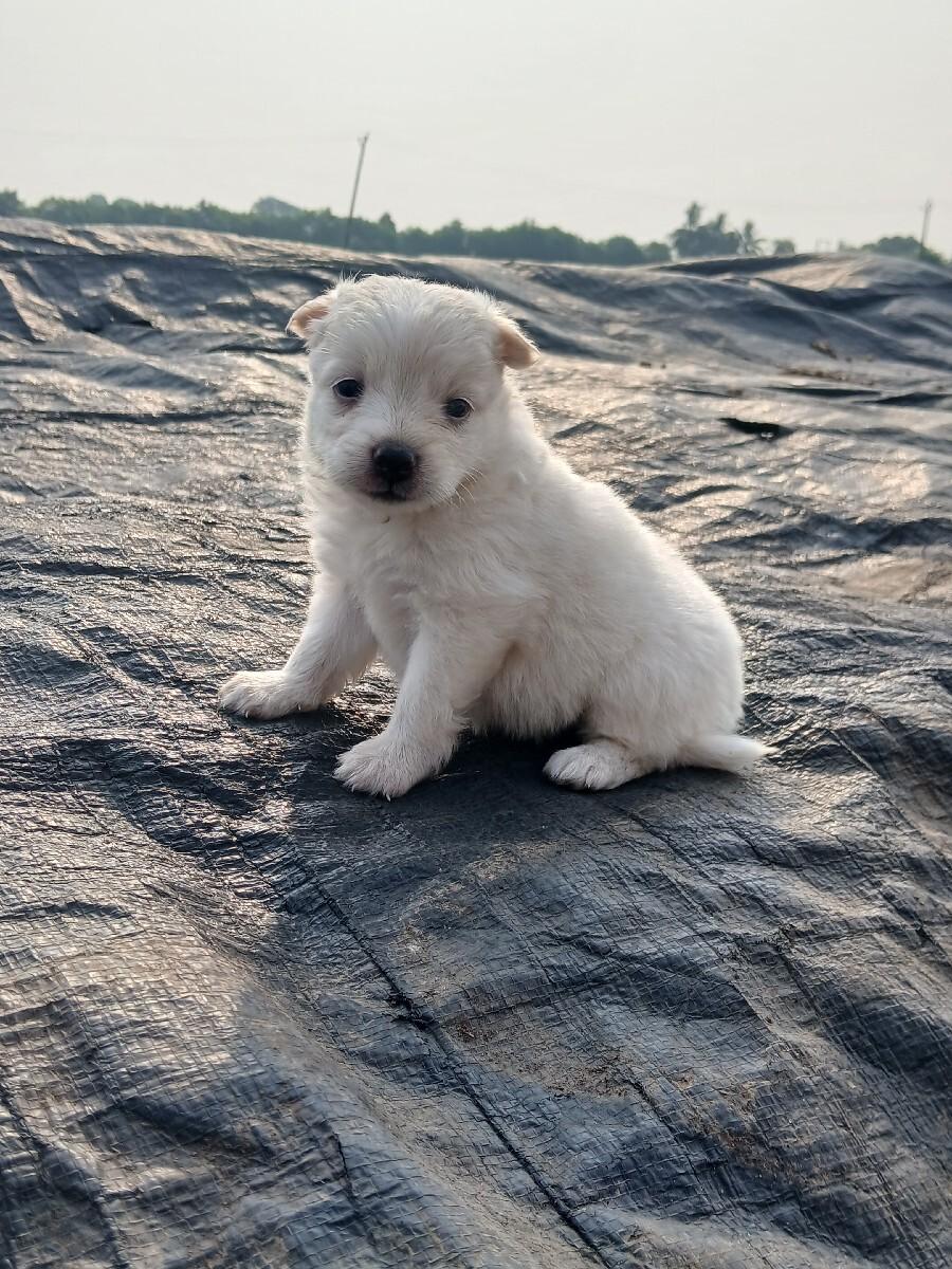 થંબનેલ 3