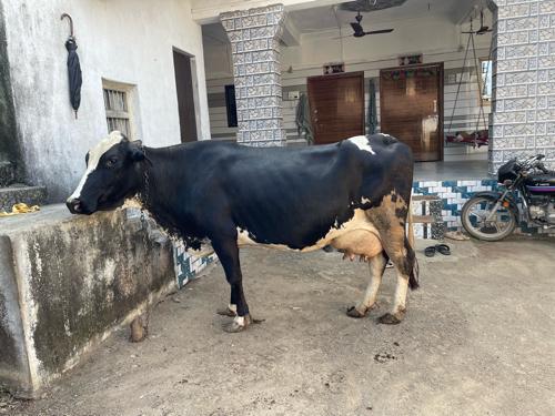 થંબનેલ 2