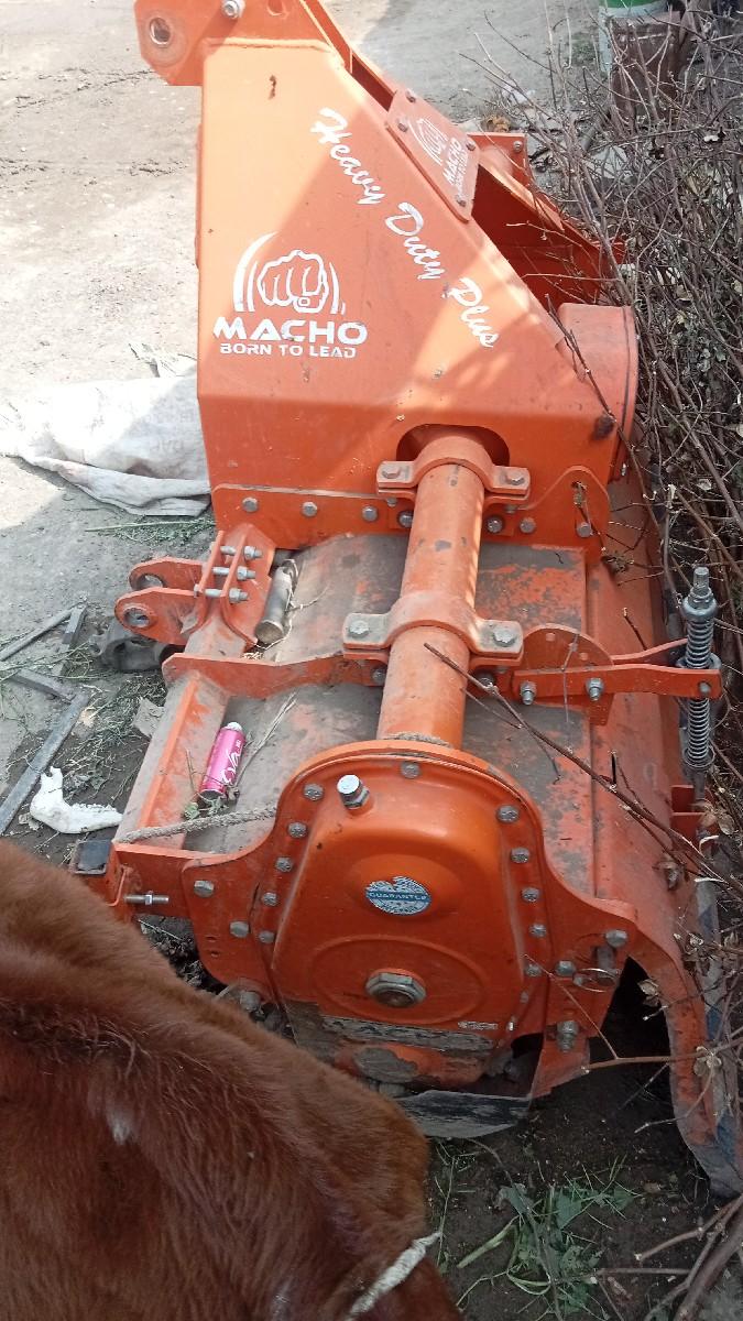 થંબનેલ 3