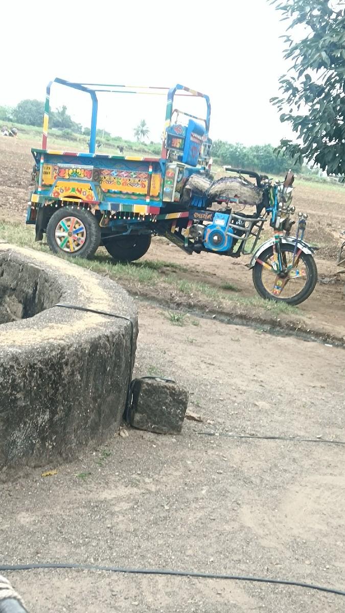 આરીકસાવેશવાનીછે