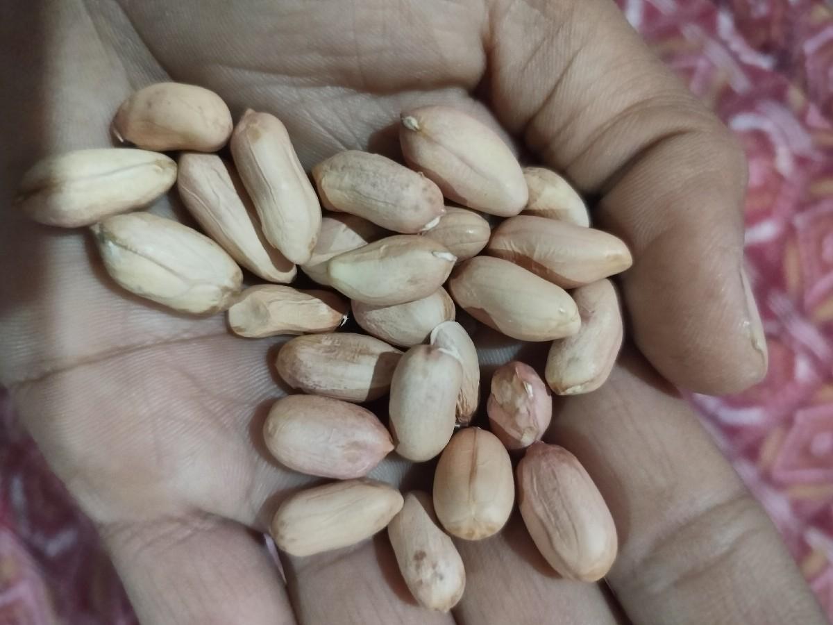 થંબનેલ 3