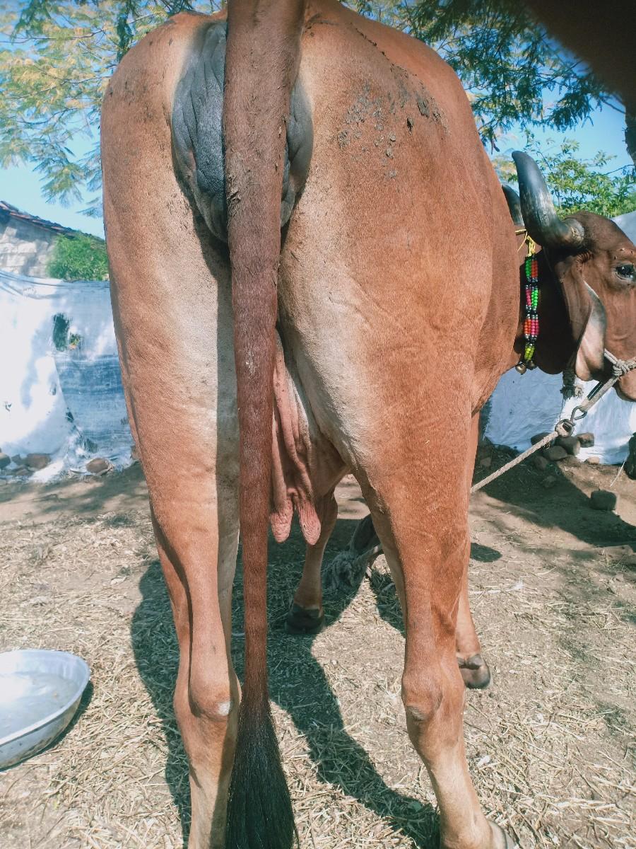 થંબનેલ 2