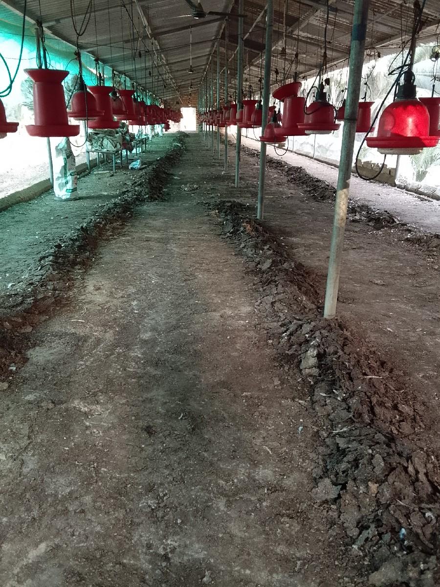 થંબનેલ 3