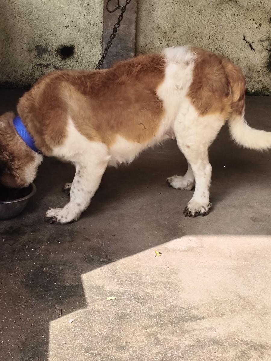 થંબનેલ 3