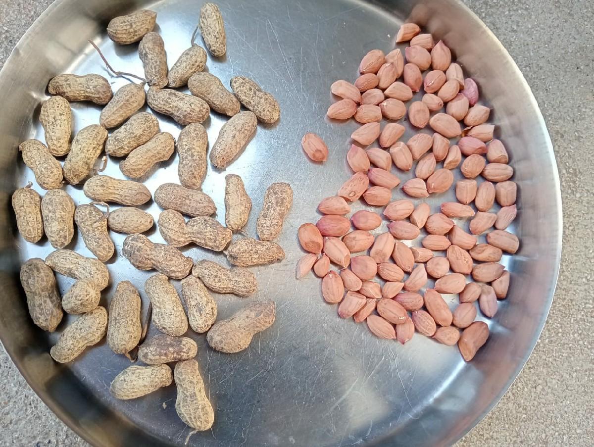 G 45 મગફળી વેચવાની છે