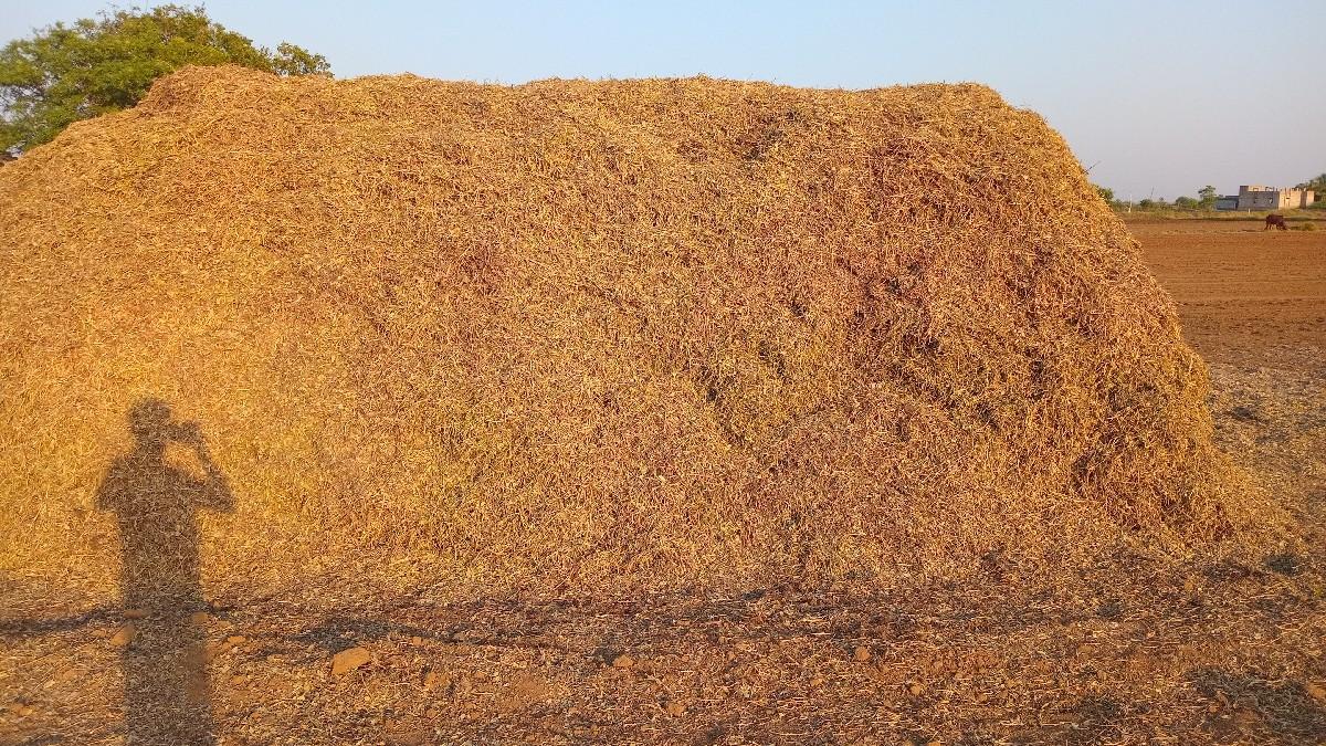 માંડવી નો ભુકો વેચવાનો છે.