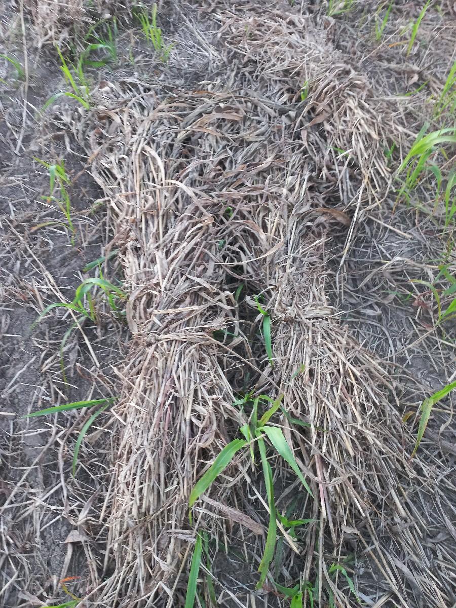 સાર વેચવાની છે