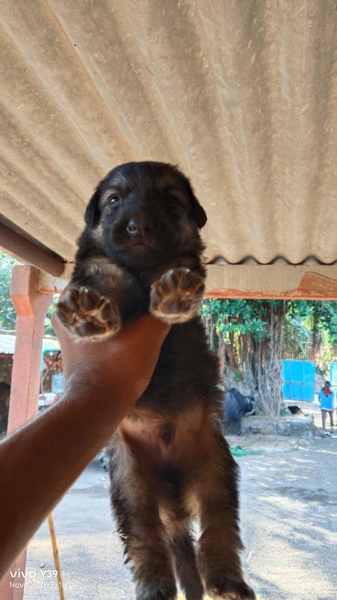 થંબનેલ 3