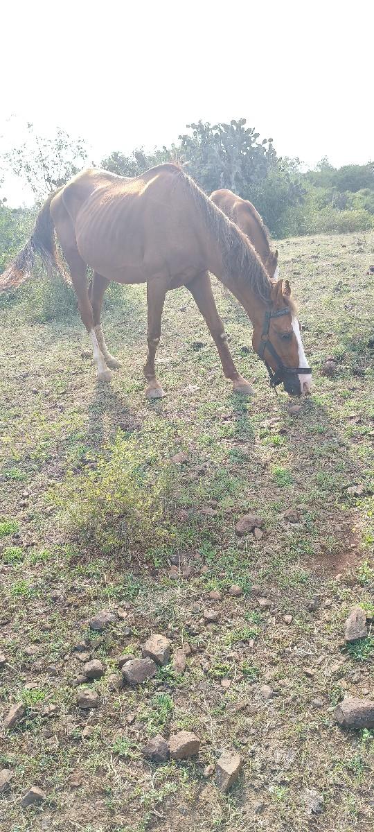 થંબનેલ 2