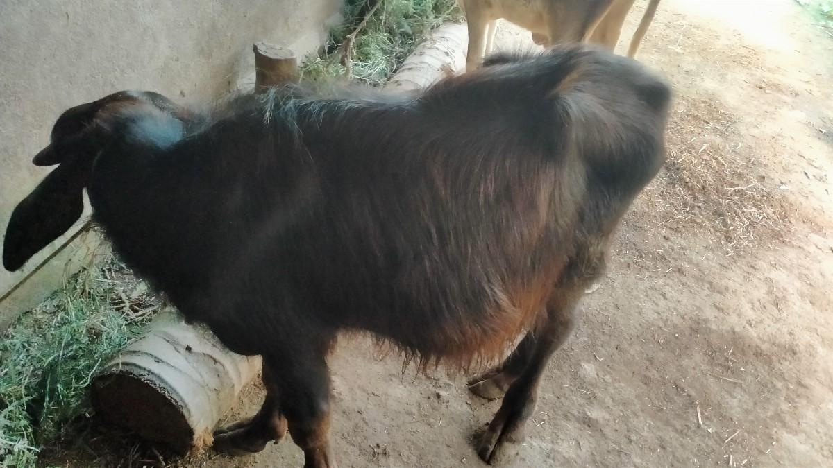 થંબનેલ 2