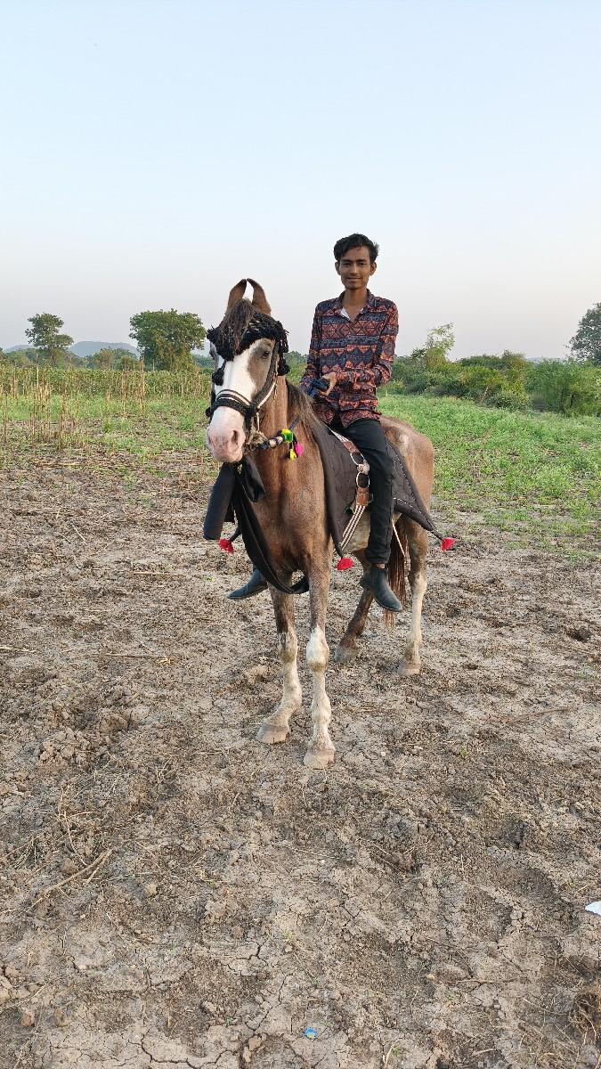 થંબનેલ 2