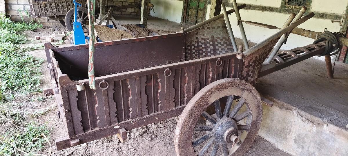 થંબનેલ 3