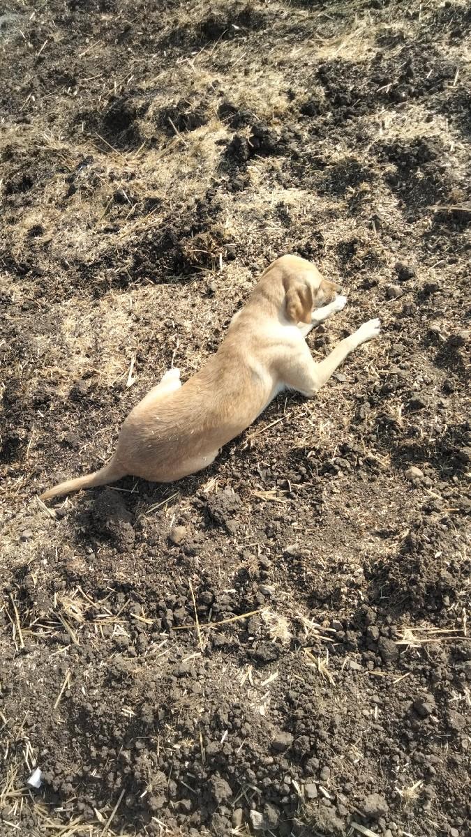 થંબનેલ 3