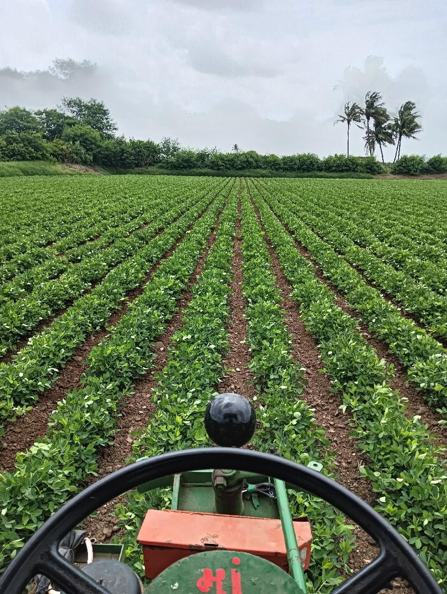 સનેડો ટ્રેકટર વેશવાનું છે