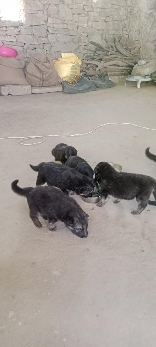 થંબનેલ 3