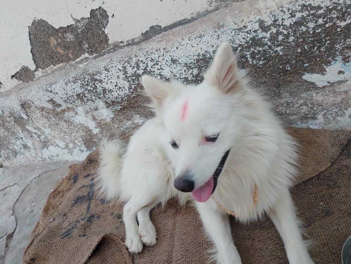 થંબનેલ 2