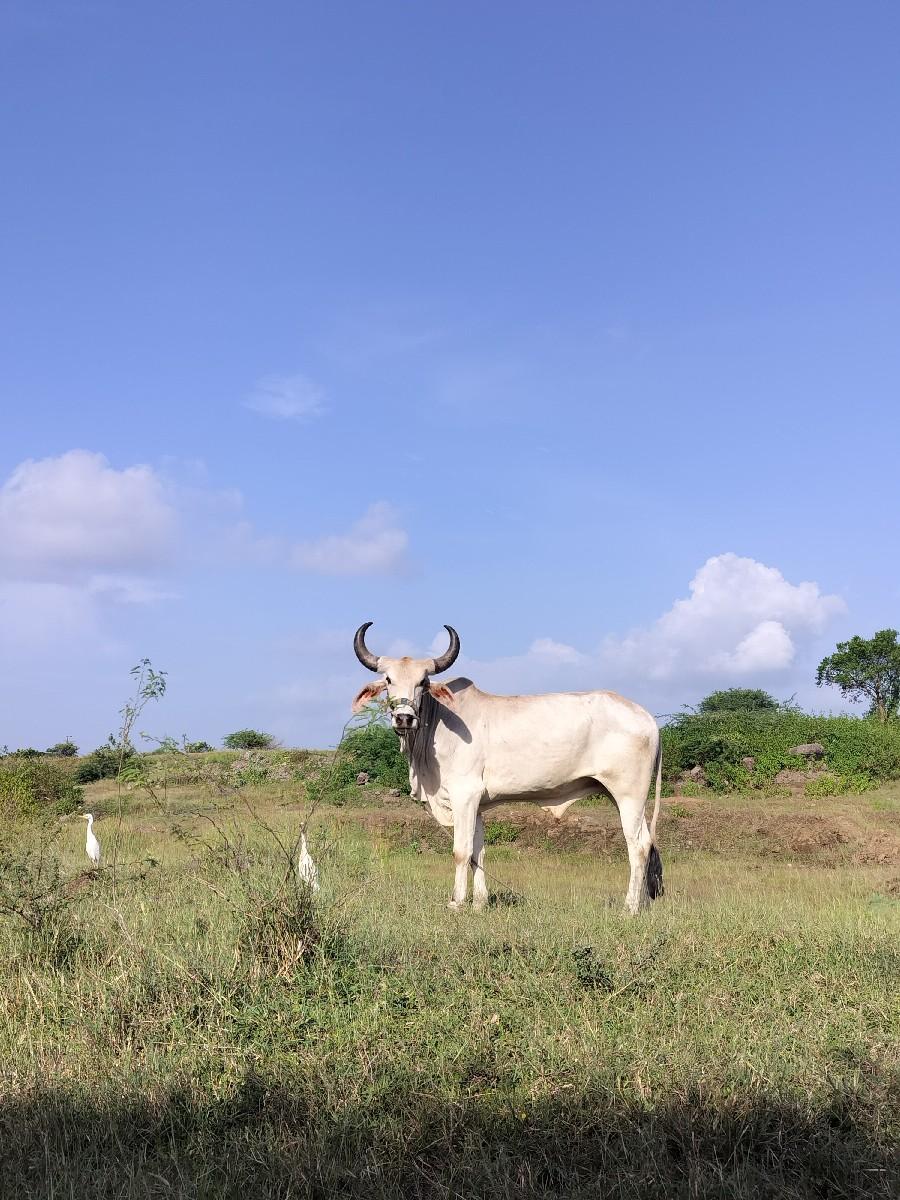 થંબનેલ 3