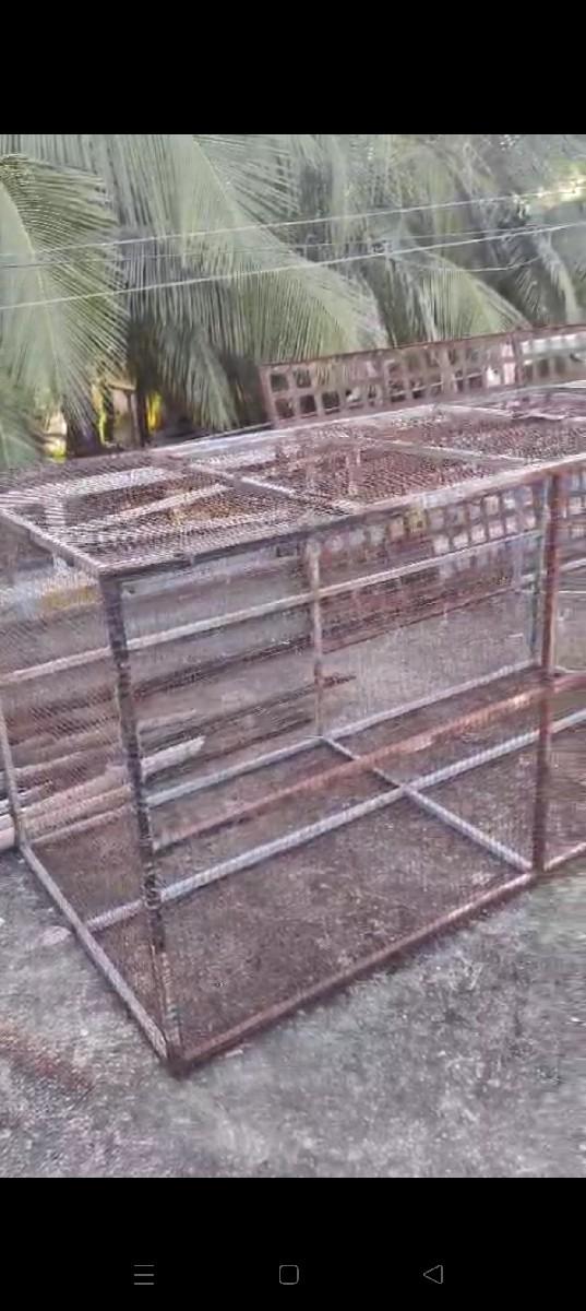 પીંજરું