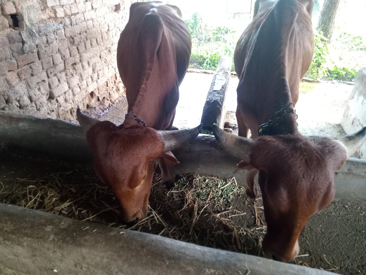 थंबनेल 3