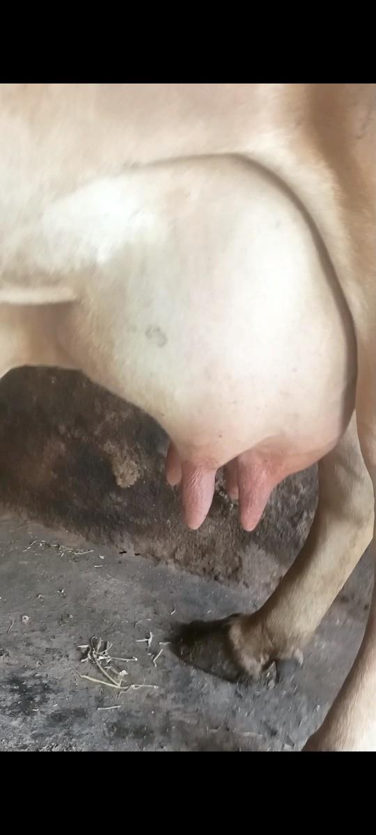 થંબનેલ 3