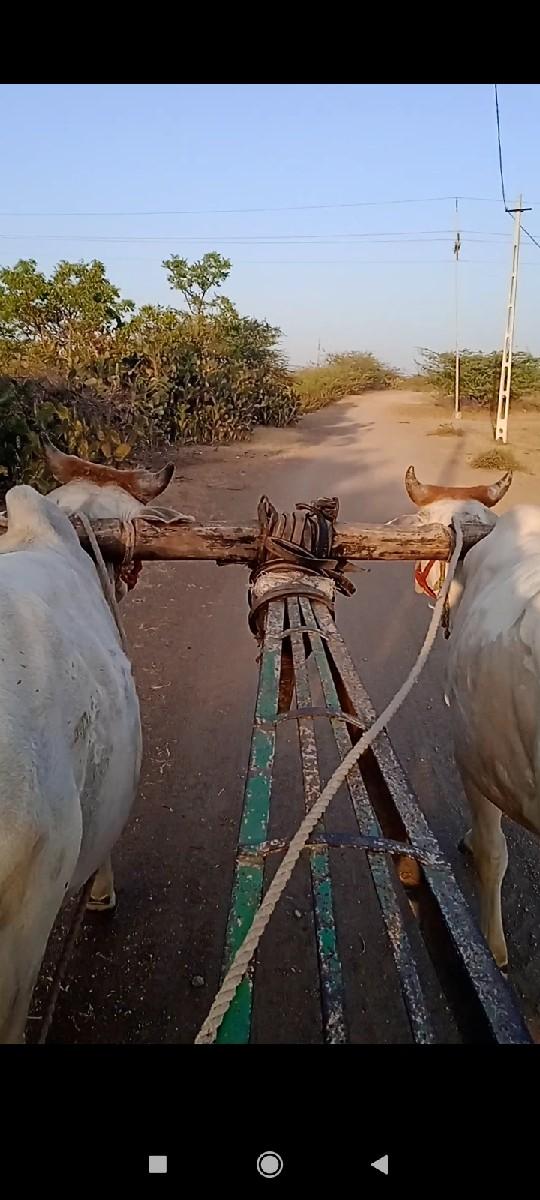 થંબનેલ 2