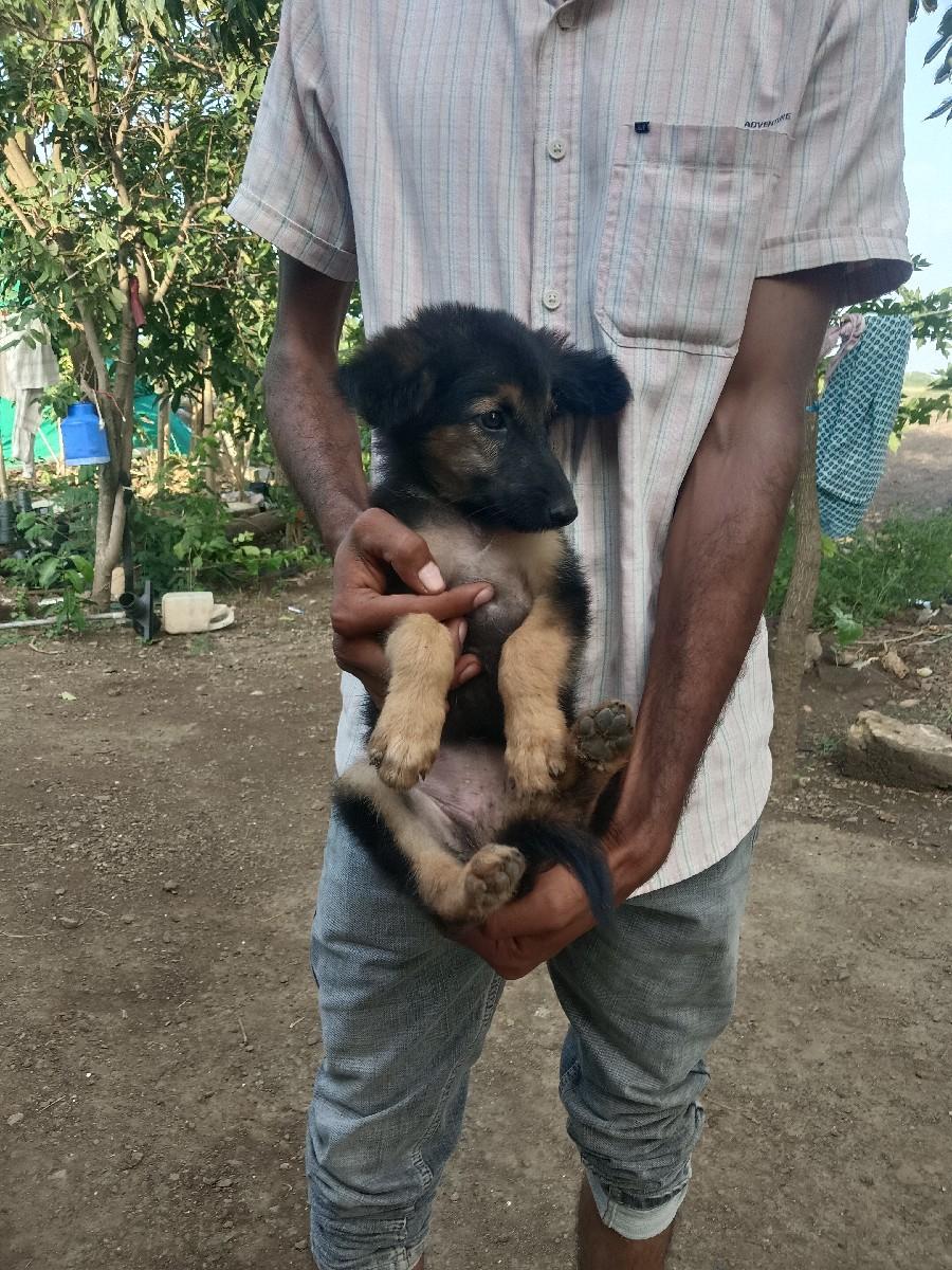 થંબનેલ 3