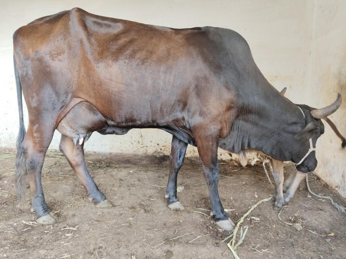 થંબનેલ 3