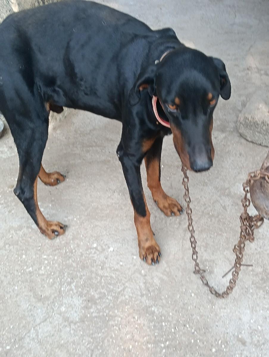 થંબનેલ 3