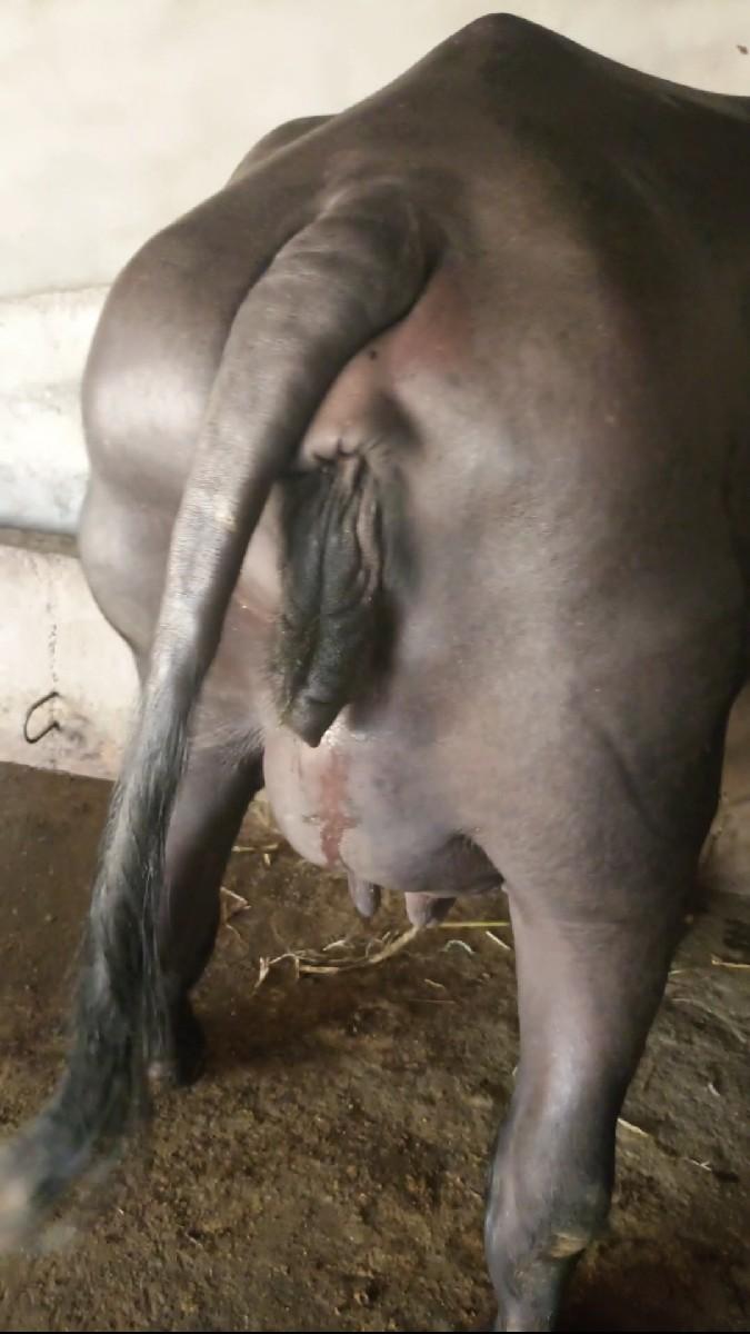 થંબનેલ 2