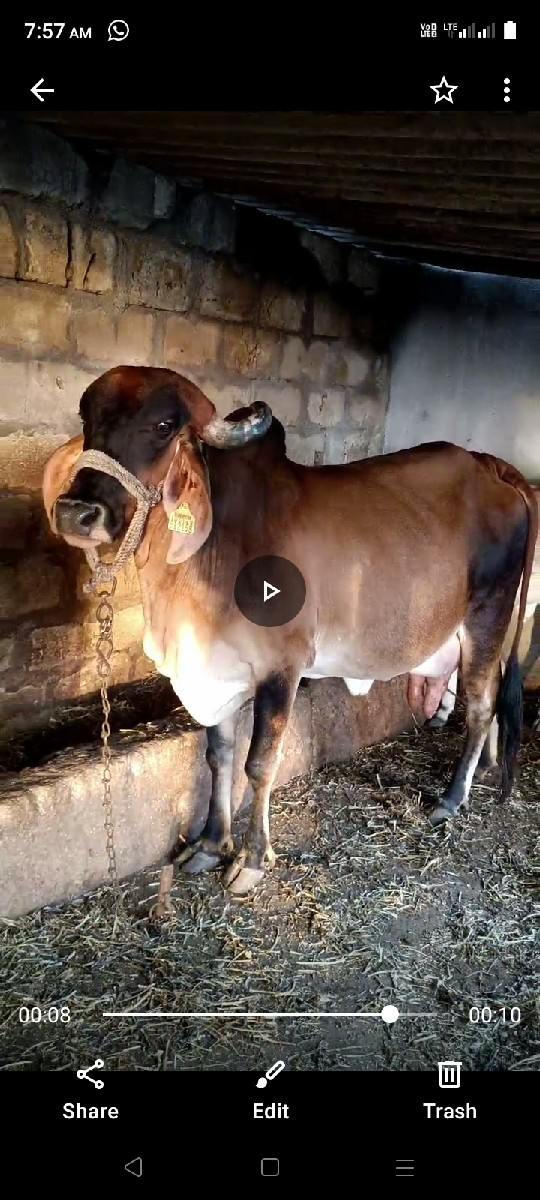 થંબનેલ 3