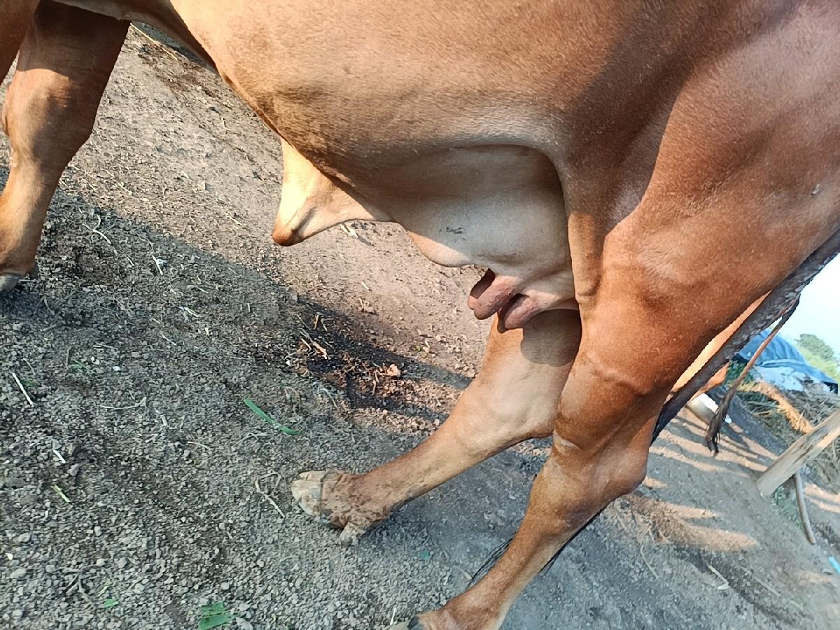 થંબનેલ 2